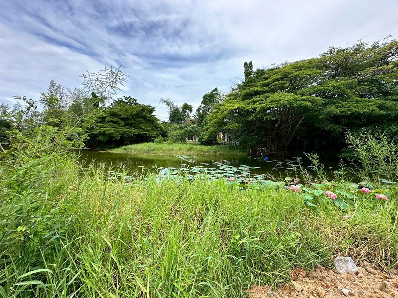 รูป บ้านเดี่ยวสุดหรู ทำเลสุดพรีเมี่ยม หมู่บ้านปัญญารีสอร์ท บางพระ ศรีราชา ชลบุรี - รูปที่ 15/20