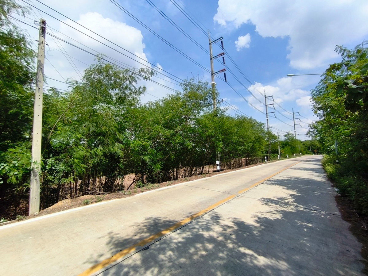 รูป ขายที่ดินริมคลอง บรรยากาศธรรมชาติ ฝั่งติดคลองได้วิวน้ำกว้างถึง 68 ม.  - รูปที่ 3/11