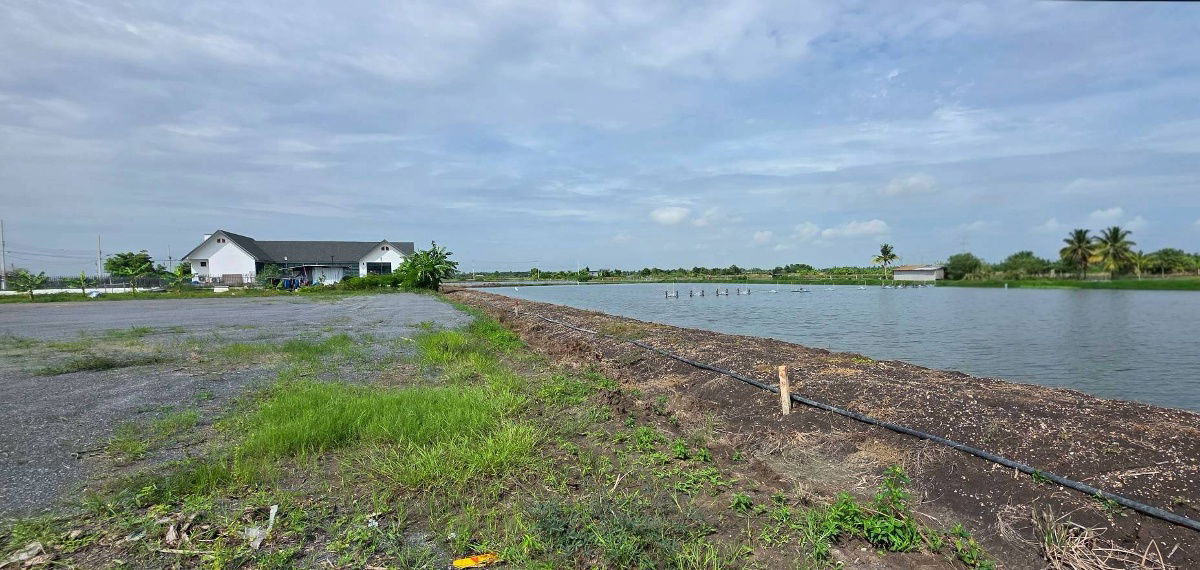 รูป ที่ดินถมแล้ว สำหรับทำบ้าน สร้างบ้านสวนในฝัน อากาศดี - รูปที่ 2/6