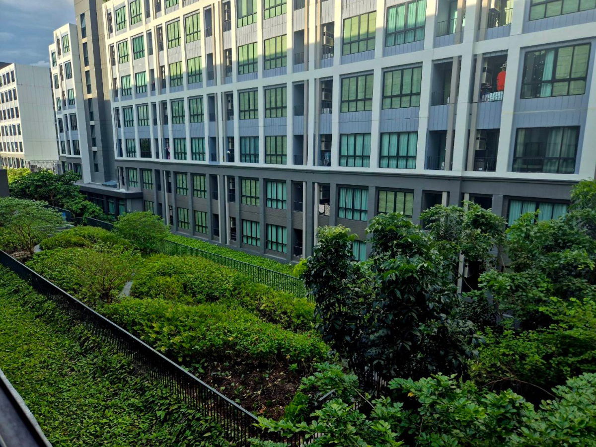 รูป ให้เช่าAtmoz Kanaal Rangsit - 1นอน 26ตรม. ชั้น4 ตึกD - Line:@hac55 - รูปที่ 11/11