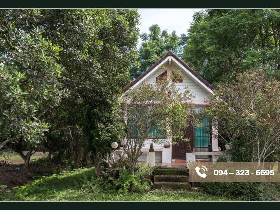 รูป บ้านสวนพร้อมที่ดิน 11 ไร่ ในเชียงราย ปี 67  น้ำไม่ท่วม - รูปที่ 8/11