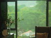 listing thumbnail image 26