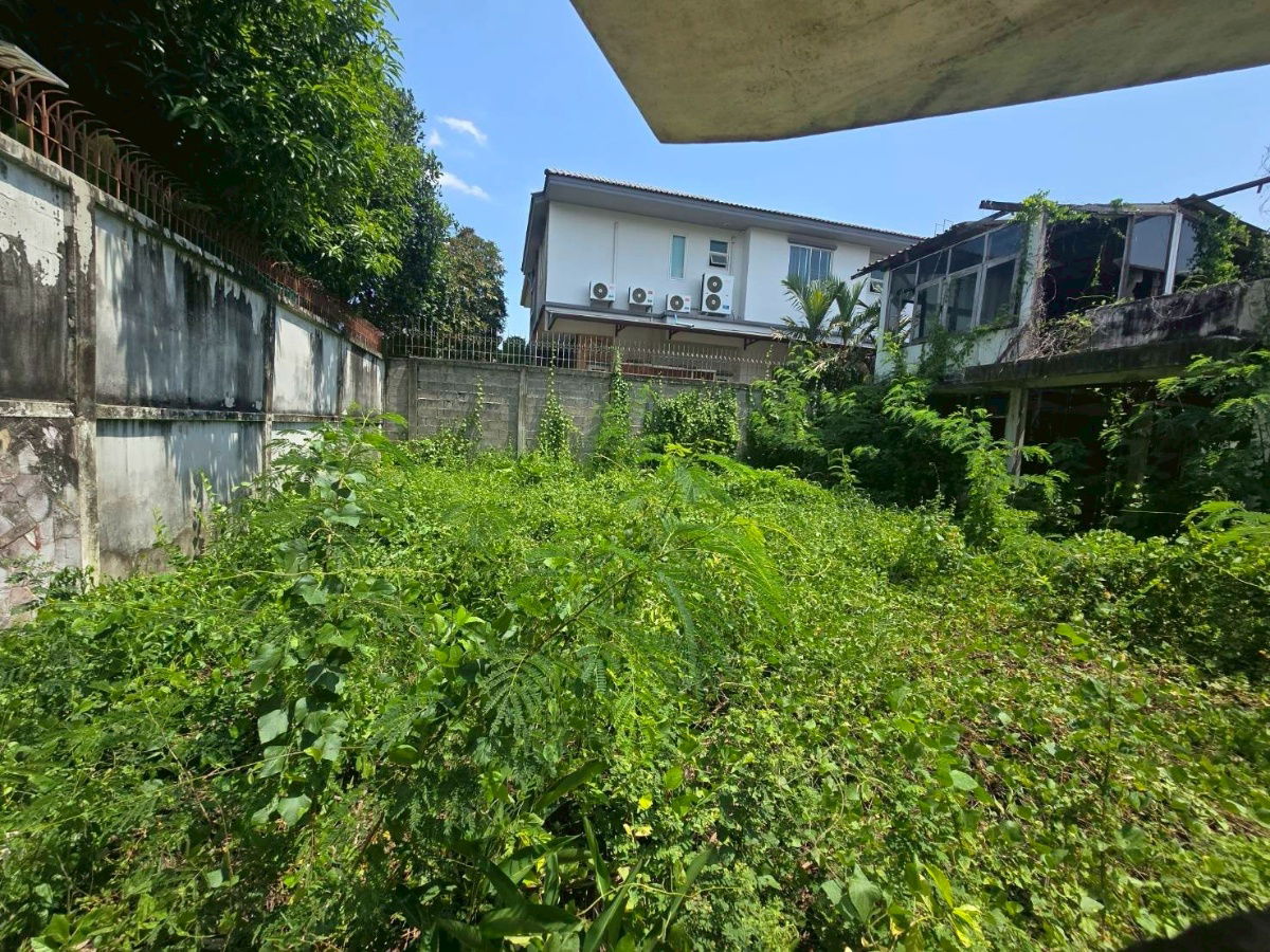 picture LTHC12990 – Land for sale at Pridi Banomyong 26 Size 92 sqw. ONLY 15.7 MB - 6/6