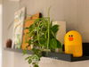 listing thumbnail image 6