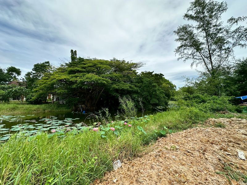 รูป บ้านเดี่ยวสุดหรู ทำเลสุดพรีเมี่ยม หมู่บ้านปัญญารีสอร์ท บางพระ ศรีราชา ชลบุรี - รูปที่ 16/20