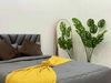listing thumbnail image 10