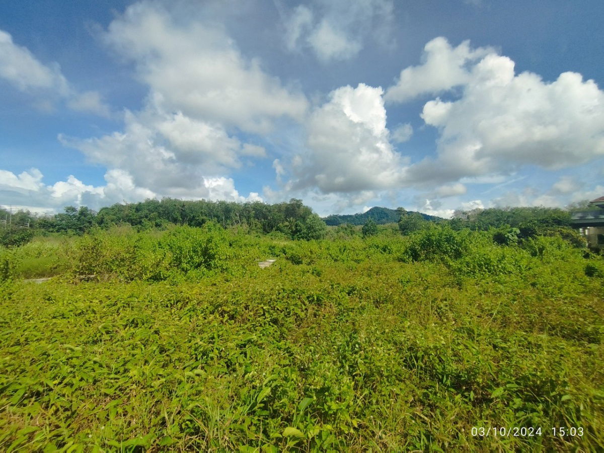 picture Vacant Land 11-2-86.3 Rai Near Thalang, Phuket - 9/15