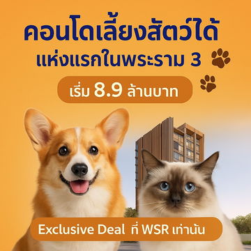  𝐖𝐈𝐃𝐄𝐍 𝐛𝐲 𝐒𝐚𝐧𝐬𝐢𝐫𝐢 🤍🐶Sansiri's first time on Rama 3, a pet-friendly condo🤍🐱 📞061-6161426/065-4496399💚LINE: @wsrcondo 