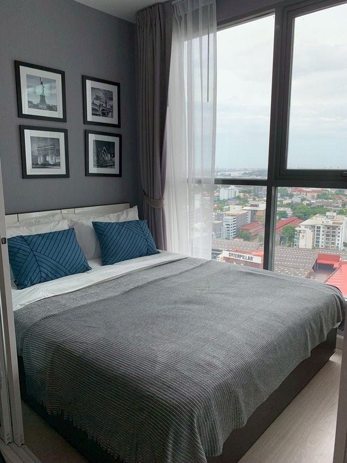 รูป Rent IDEO MOBI Sukhumvit 81, fully furnished, 22 sq m. 15,000 baht - รูปที่ 10/11