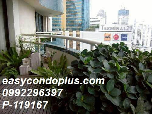 picture P-119167 Condo for rent Las Colinas fully furnished (Confirm again when visit).  - 11/16