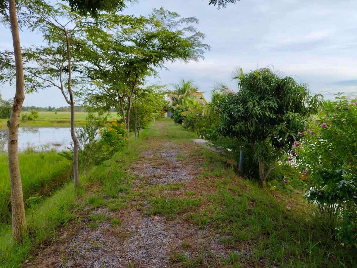 รูป ขายที่ดิน พร้อมสิ่งปลูกสร้าง ร้านอาหารและบ้านพัก เนื้อที่ 3-3-25.8 ไร่ ตำบลตาจั่น อำเภอคง นครราชสีมา#LB128 – 001093 - รูปที่ 22/25