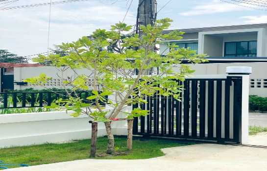 รูป ขาย บ้านเดี่ยว บ้านมินิมอล 2 ชั้น กลิ่นญี่ปุ่น ใกล้โรงเรียนอินเตอร์ แม่เหียะ เชียงใหม่ - รูปที่ 6/11