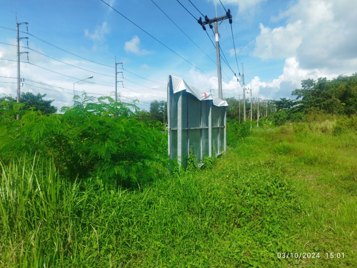 picture Vacant Land 11-2-86.3 Rai Near Thalang, Phuket - 11/15