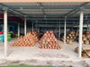 listing thumbnail image 24