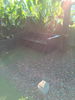 listing thumbnail image 15