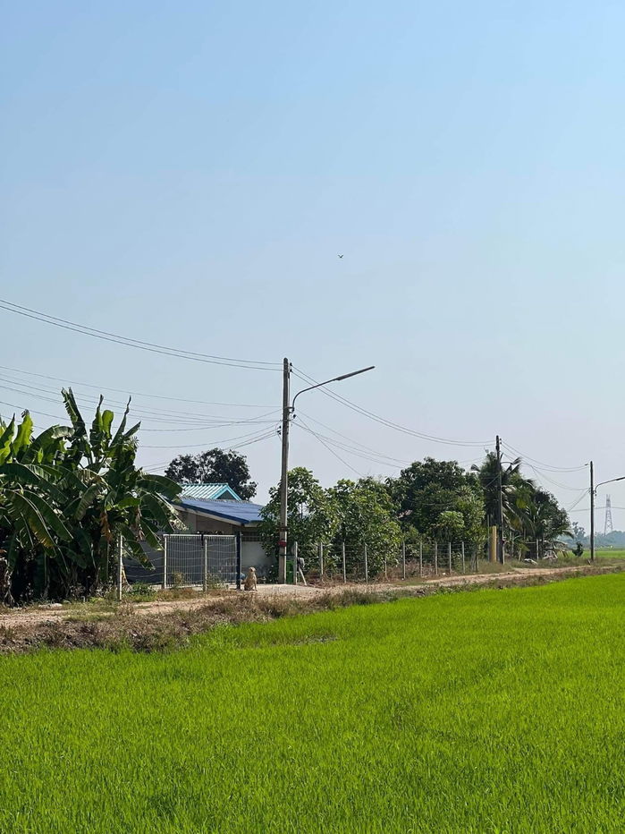 picture Large Plot of Land for Sale: 59 Rai 2 Ngan 27.2 Sq. Wah - 5/10