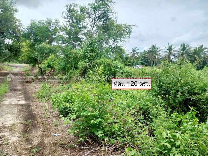 รูป ขาย ที่ดิน 120 ตรว. 5 แสน!! ต.หมอนทอง อ.บางน้ำเปรี้ยว จ.ฉะเชิงเทรา ใกล้โรงเรียนวัดคลอง18 ห่างเขตหนองจอกประมาณ 33 k.m. - รูปที่ 8/22