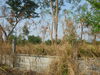 listing thumbnail image 13