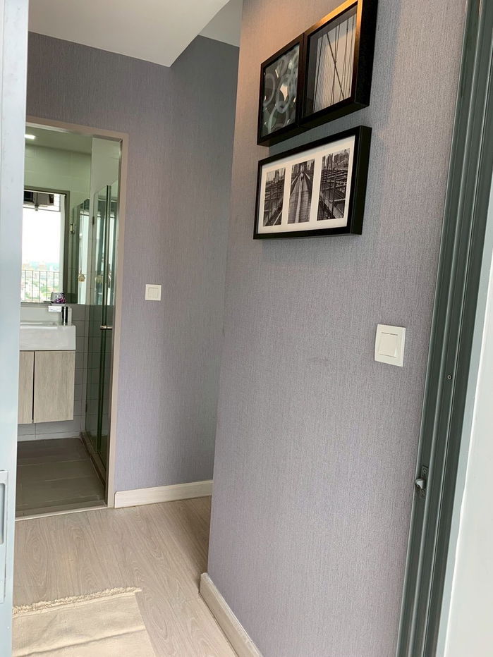 รูป Rent IDEO MOBI Sukhumvit 81, fully furnished, 22 sq m. 15,000 baht - รูปที่ 2/11