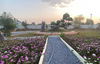 listing thumbnail image 10