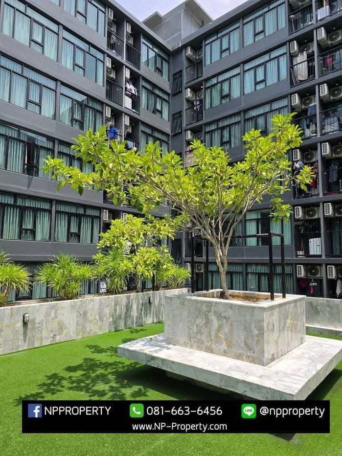 รูป 🚨 ขายด่วน! ราคาพิเศษสุดๆ 🚨 💎 The Indeed Condo Prime Amata 💎 💰 ราคาเพียง 1,010,000 บาท เท่านั้น! - รูปที่ 16/16