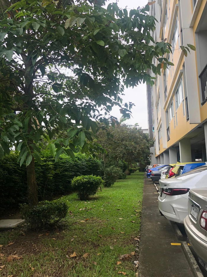 picture For Sale Asakan City Ramkhamhaeng 186 Fully Furnished (Near Ruamrudee International School) - 6/12