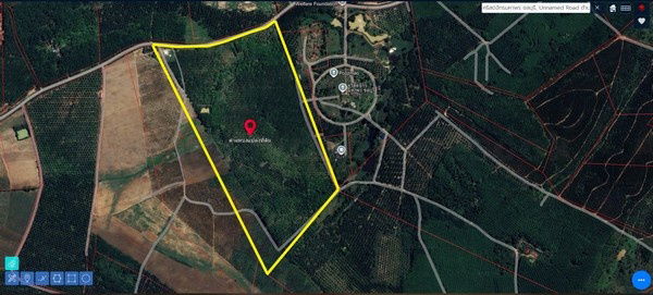 picture Low-Priced Land for Sale – Mixed Yellow & Purple Zone, Nong Yai, Chonburi Large land plot suitable for factory - 2/9