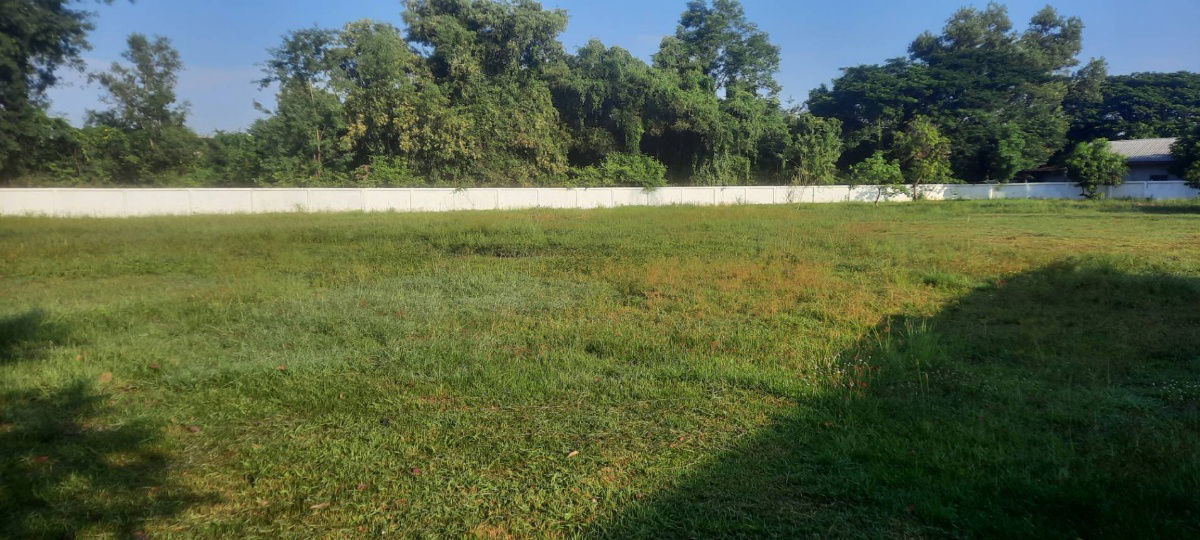 picture Land for sale in a good location near Suan Sunandha Rajabhat University, near PTT gas station, Sam Phrao Subdistrict, Mueang District, Udon Thani  - 2/18
