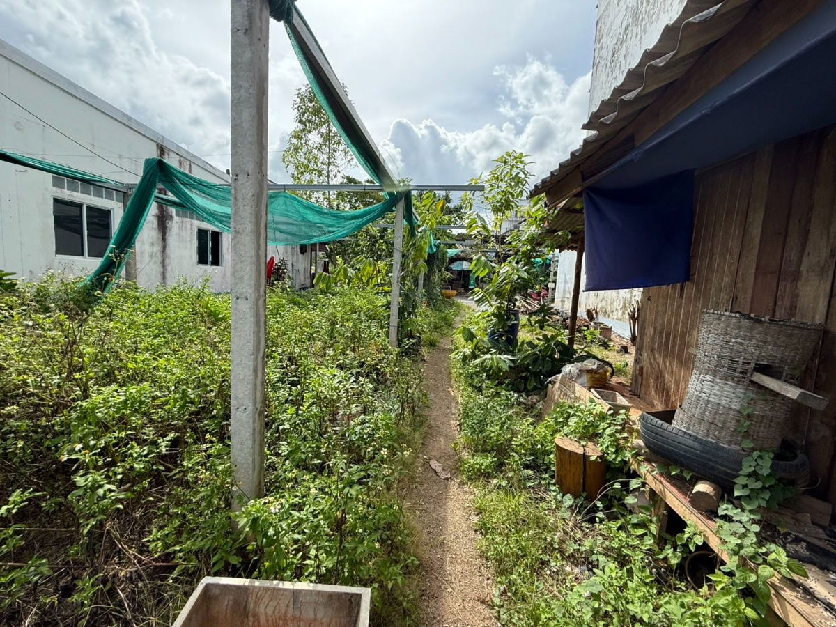 picture Two-unit land plot for rent in Krabi Town, 54.8 square wah (2,000 sq m). Rent: 20,000 baht/month. - 4/9