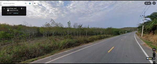 picture Low-Priced Land for Sale – Mixed Yellow & Purple Zone, Nong Yai, Chonburi Large land plot suitable for factory - 9/9