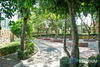 listing thumbnail image 23