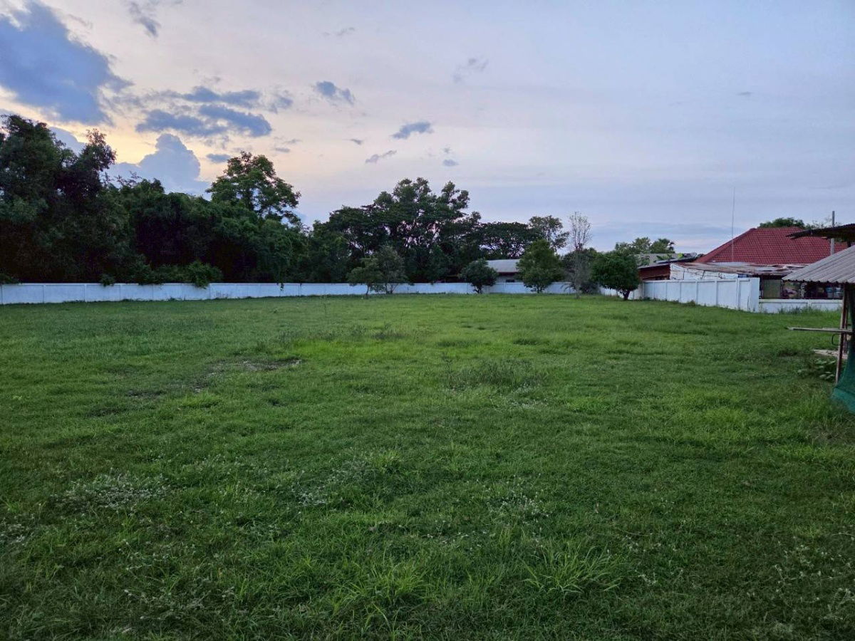 picture Land for sale in a good location near Suan Sunandha Rajabhat University, near PTT gas station, Sam Phrao Subdistrict, Mueang District, Udon Thani  - 12/18