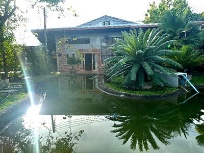 Apartment building for rent Nakhon Chai Sri Nakhon Pathom : For rent, open a cafe, restaurant, very suitable