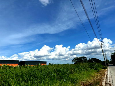 Land for sale Rattanathibet Road : Land for Sale in Soi Piamsuk, near Mahidol University – Salaya