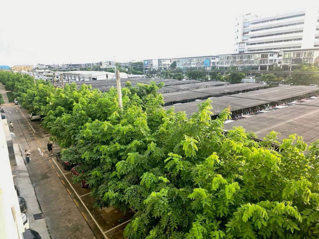รูป ให้เช่า ลุมพินี วิลล์ อ่อนนุช – ลาดกระบัง 2 1 ห้องนอน  - รูปที่ 12/14