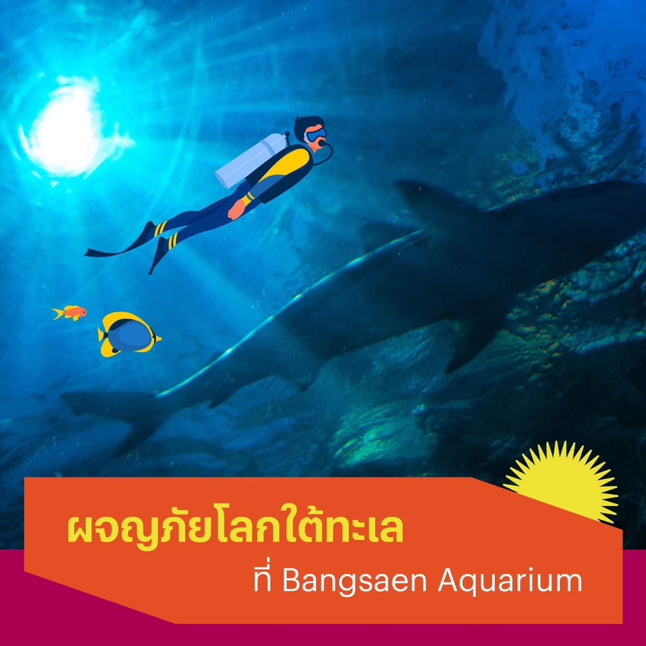 รูป 🆕 คอนโดใหม่บางแสน ต้องไม่พลาด‼️dcondo sense คอนโดใหม่สไตล์รีสอร์ท เริ่ม 1.59 ล้าน🤩📞061-6161426/065-4496399 🟢LINE: @wsrcondo - รูปที่ 9/9