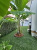 listing thumbnail image 14