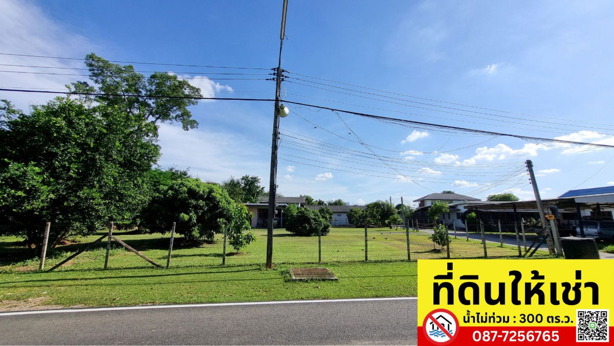 รูป ปล่อยเช่าที่ดินทำเลทอง 300 ตร.ว. อำเภอเมือง จังหวัดเชียงใหม่ - รูปที่ 2/5