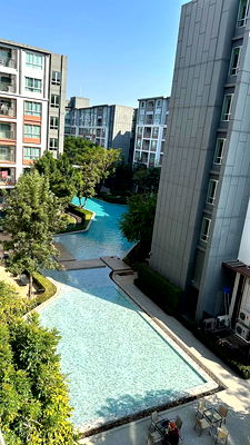 Condos for rent 700 Year Sports Arena Chiang Mai : ✨ For Rent: D Condo Ping Chiang Mai – Stunning Pool View, Near Central Festival ✨