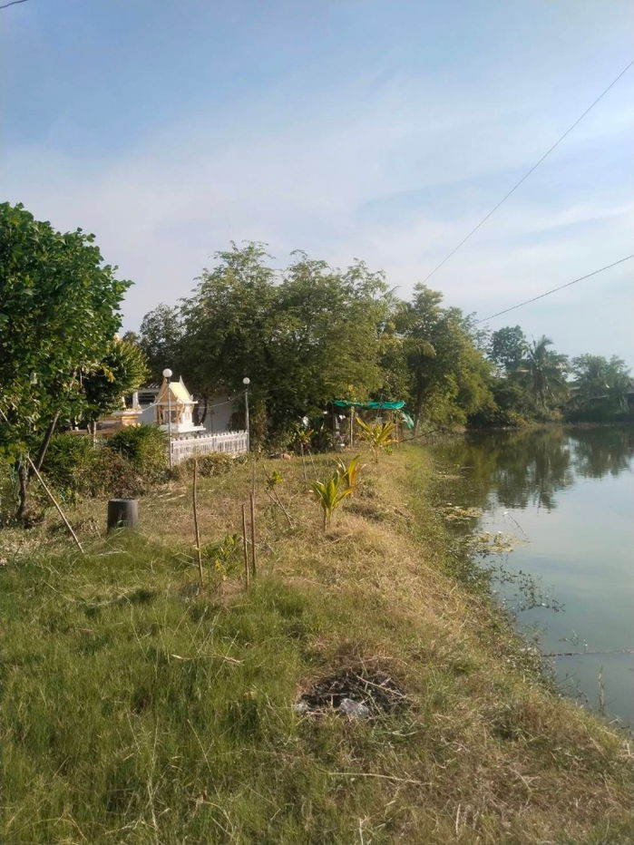 รูป ขายโกดังโรงงานมีใบประกอบการที่ดินสวยมาก - รูปที่ 1/11