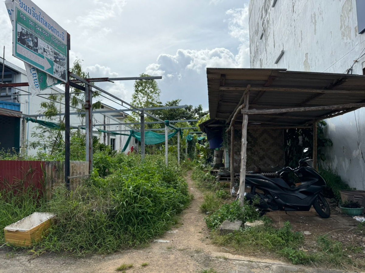 picture Two-unit land plot for rent in Krabi Town, 54.8 square wah (2,000 sq m). Rent: 20,000 baht/month. - 3/9