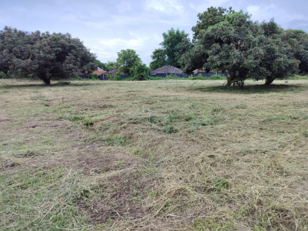 picture Chiang Rai land, very sweet, private land, peaceful - 9/12