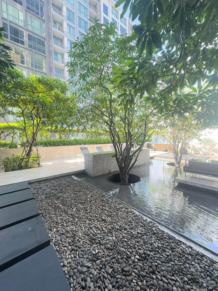 รูป  ขาย Quattro by Sansiri ห้องสวย ระเบียงใหญ่ วิวไม่บล็อค มีความเป็นส่วนตัวสูง ห้องมุม วัสดุเกรดpremium ที่จอดรถ 110% ส่วนกลางร่มรื่น Line: @951qfbfi - รูปที่ 15/19