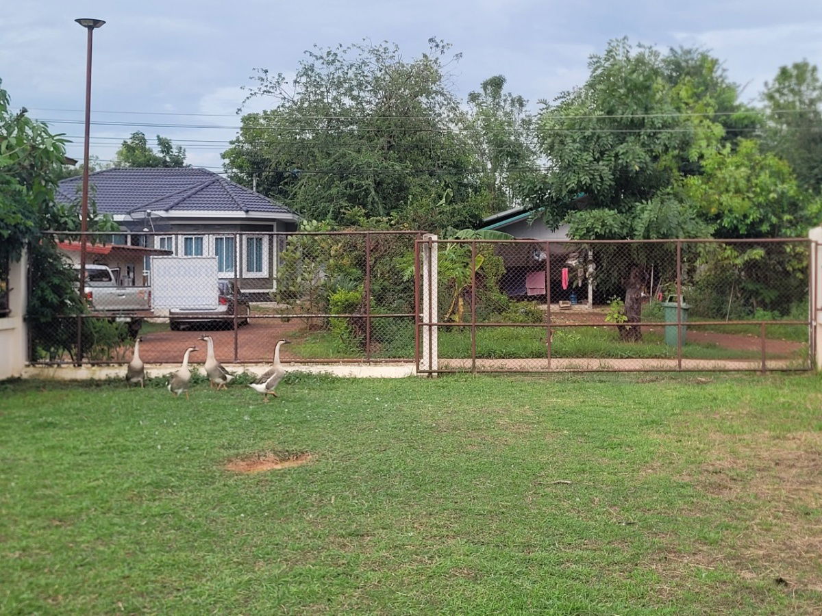 picture Land for sale in a good location near Suan Sunandha Rajabhat University, near PTT gas station, Sam Phrao Subdistrict, Mueang District, Udon Thani  - 7/18