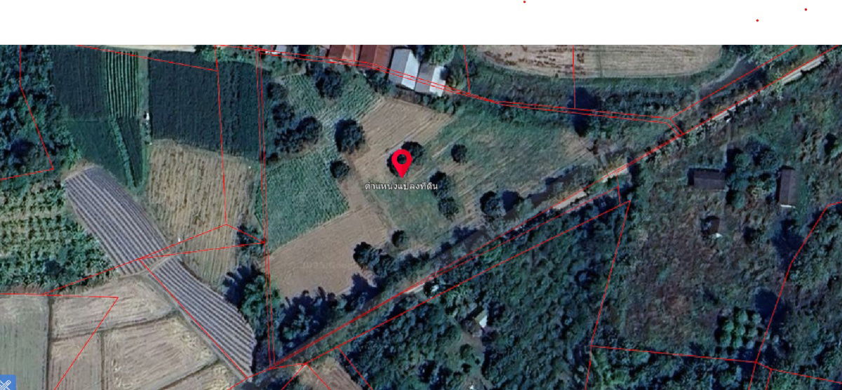 picture Chiang Rai land, very sweet, private land, peaceful - 12/12