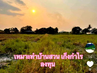 ที่ดิน บ้านนา นครนายก : ที่ดินถมแล้ว พร้อมสร้างบ้าน ราคาสุดคุ้ม ขายขาดทุน