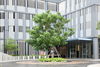 listing thumbnail image 20