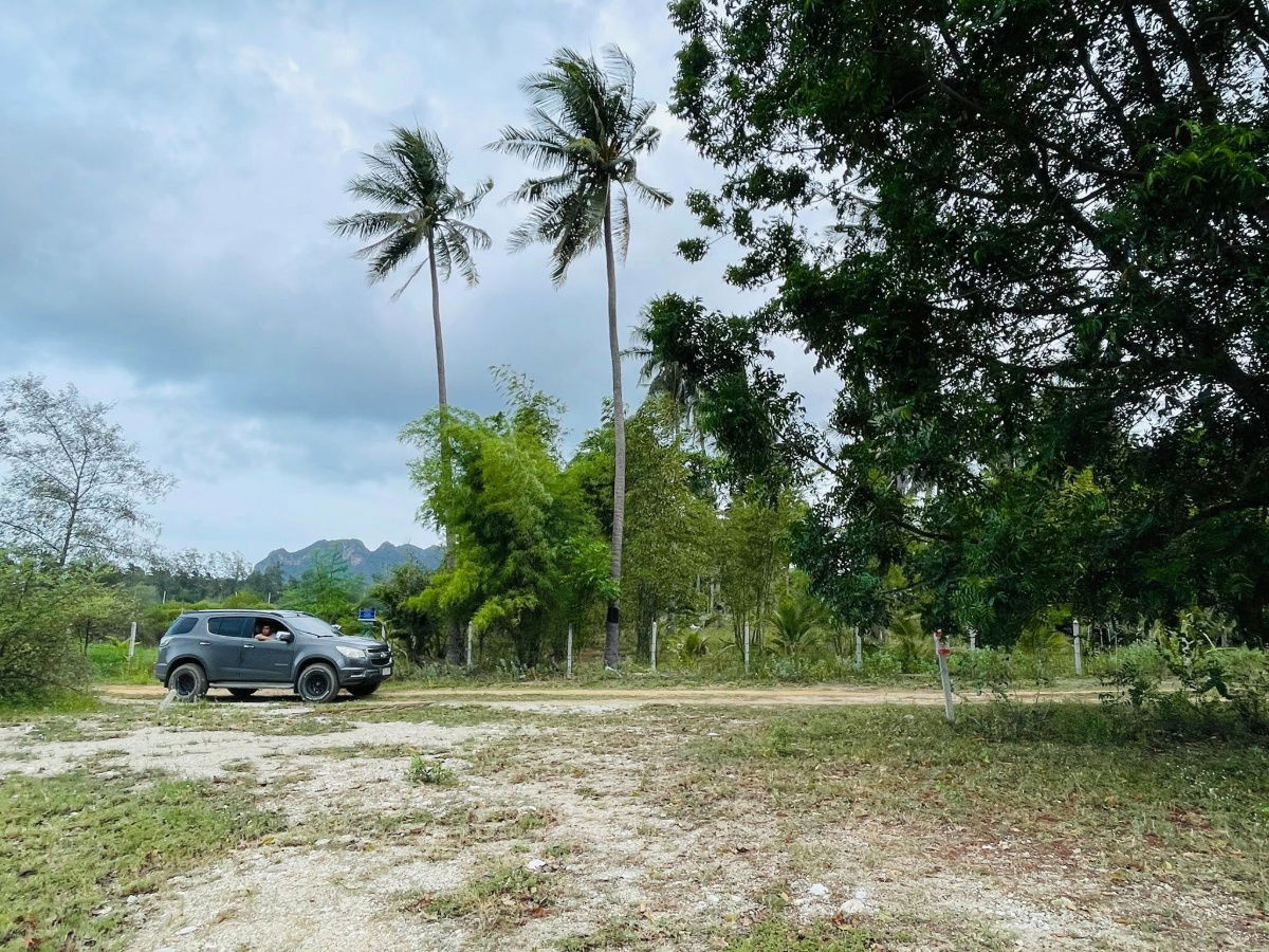 picture Land for sale mountain view 1 kilometer to the beach  - 1/15