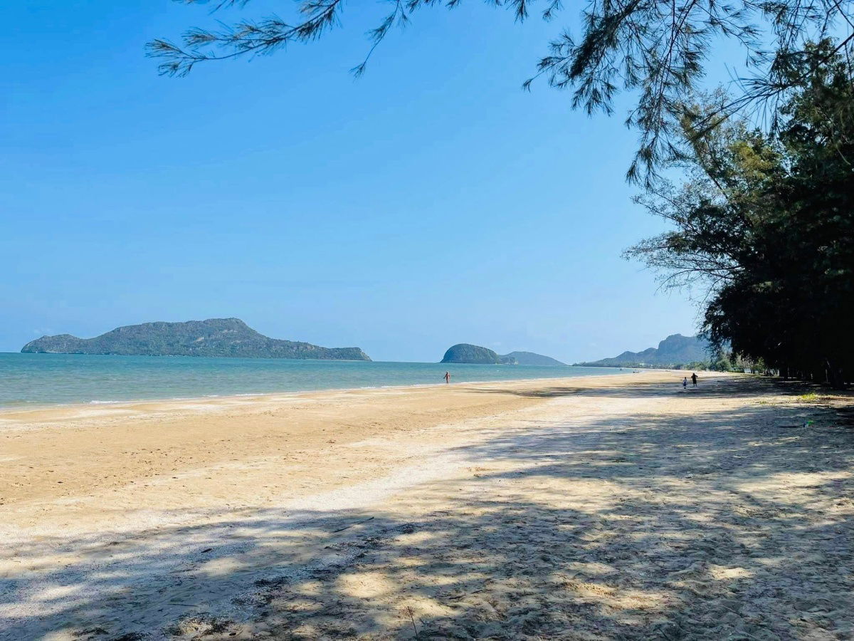 picture Land for sale mountain view 1 kilometer to the beach  - 13/15