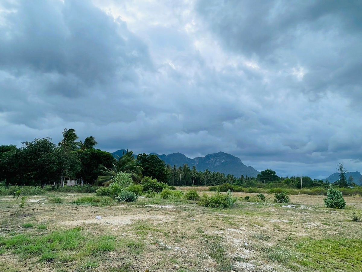 picture Land for sale mountain view 1 kilometer to the beach  - 8/15